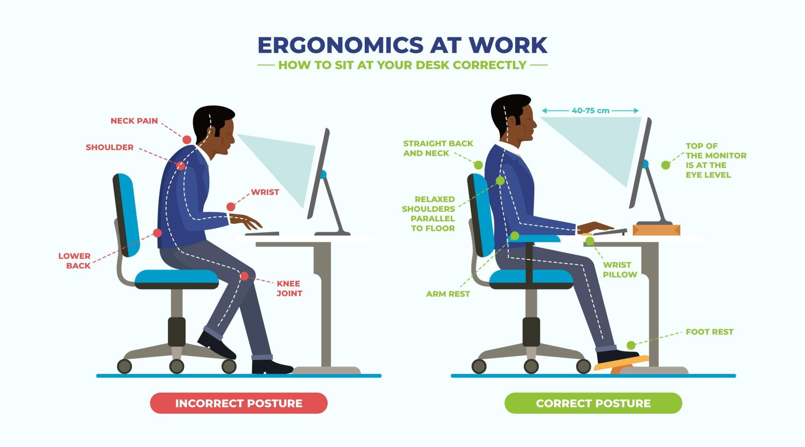 Busting the Biggest Myths About Workplace Comfort & Ergonomics