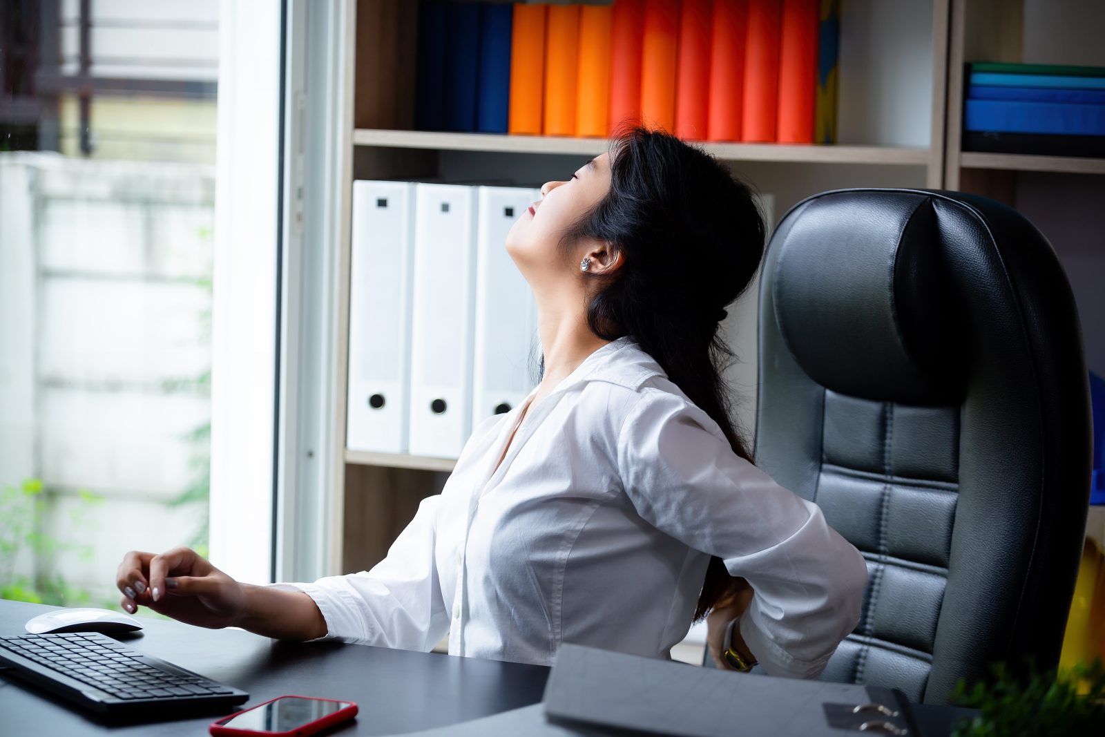 Meet Your Spine’s New Best Friend: PALO049 Orthopedic Back Support