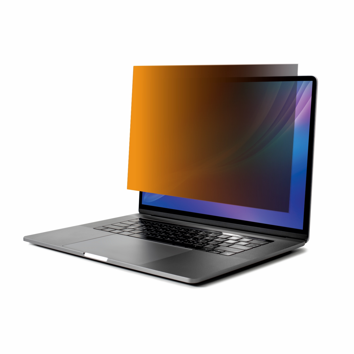 PALO MyDATA GPF14.0W9 Widescreen Gold Privacy Filter for Laptop (16:9)