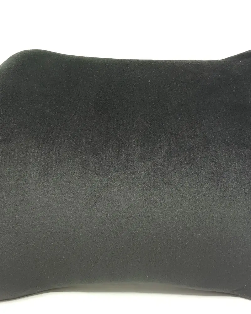 PALO Orthopedic Butterfly Back Support