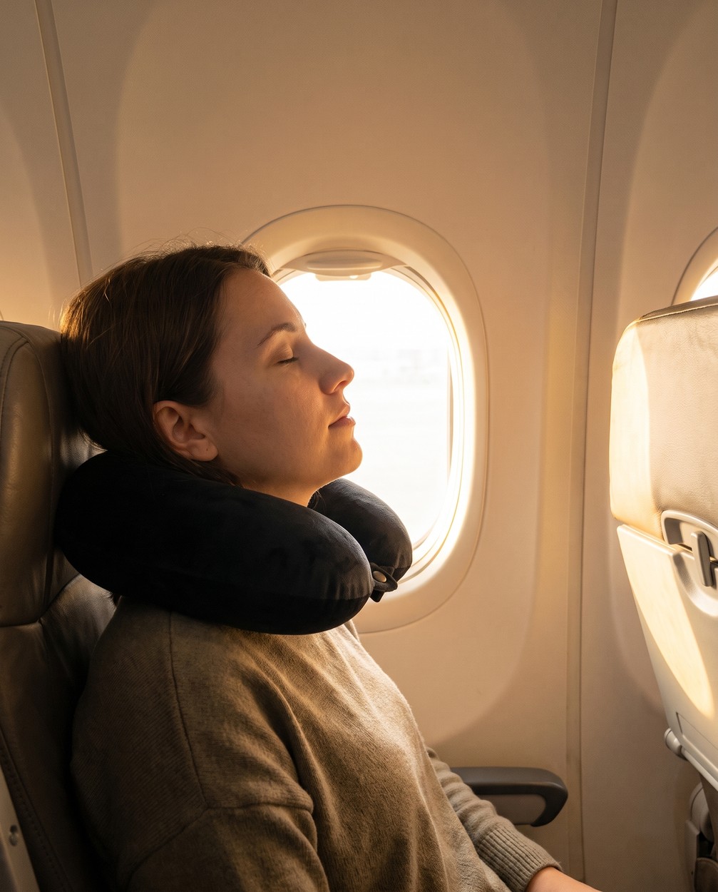 PALO Premium Travel Neck Pillow