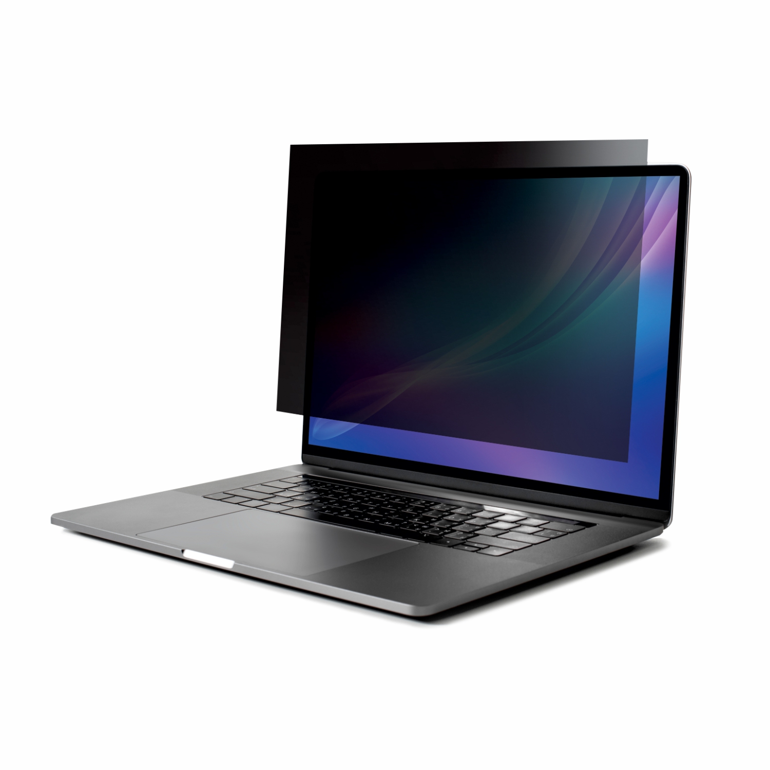 PALO MyDATA PF14.1W Widescreen Privacy Filter for Laptop (16:10)
